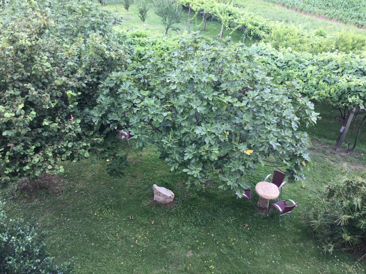 Casa Hipolito Villa A Estrada Dış mekan fotoğraf